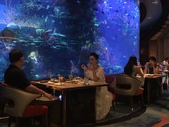 -迪拜帆船酒店海底餐厅