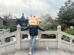 -梅园