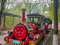 -大兴滨河森林公园