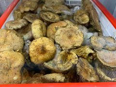 -菌海森林·非遗野生菌火锅(西山区滇池路摩根道店)