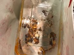-鸿运兔·手撕烤兔(天府广场店)
