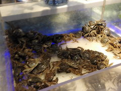 -圣罗巴海鲜烤肉自助(鲅鱼圈万达店)