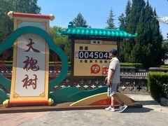 -大槐树寻根祭祖园