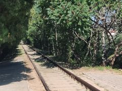 -府君山公园