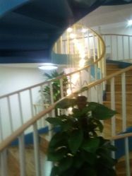 -新蝶变皮肤管理中心