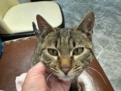 -盱眙虾神於氏龙虾(夫子庙红街店)