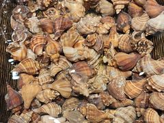 -龙宴海鲜城(经中路店)