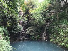 -十八棵（老龙井）御茶园(老龙井店)