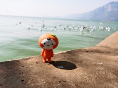 -滇池海埂公园