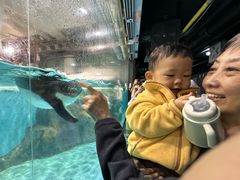-大连圣亚海洋世界