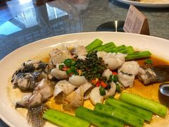 鲜花椒蒸鱼-猪肉婆私房菜(容桂总店)