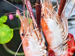 -蟹村草堂·苏式园林人文农家·大闸蟹