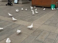 -天津妈祖文化园