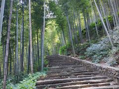 -午潮山国家森林公园