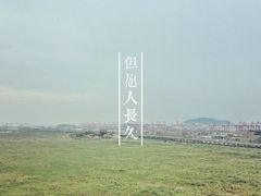 -洋山深水港