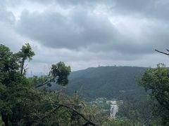 -桃花岭景区