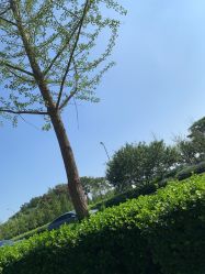 -HEYAN长风荷妍专业脱毛美肤
