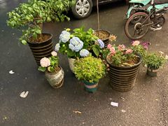 -巴乡石锅鱼(密云店)