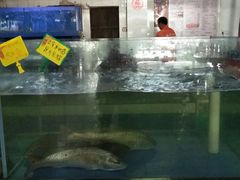 -宋船渔栈(白沙店)