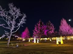 -轻井泽王子购物广场