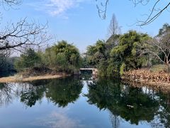 -西溪国家湿地公园