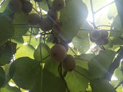 -老王小吃(大林沟路店)