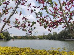 -西湖公园(鼓楼区)