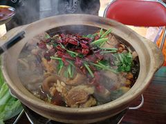 -沙胆彪炭炉牛杂煲(成都玉林店)