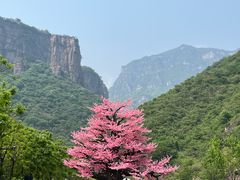 -河南宝泉旅游区