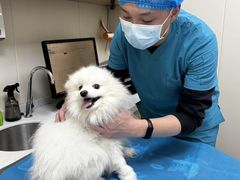 -美联众合爱康动物医院•复杂内科•肿瘤科•牙科•腔镜诊疗中心