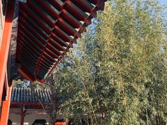 -莲池书院博物馆