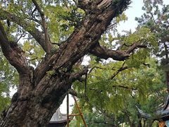 -无锡惠山寺