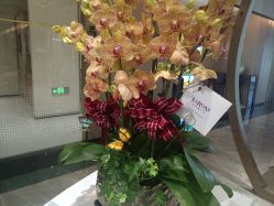 -铂诗玥医美