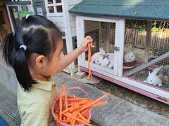 -上海崇明金茂凯悦酒店