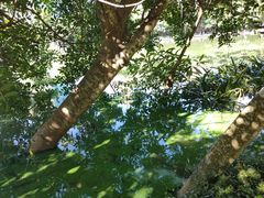 -海南热带海洋学院(三亚校区)