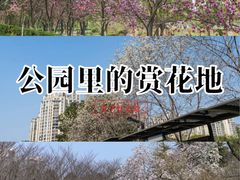 -白塘生态植物园