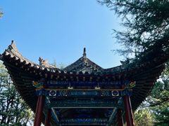 -黄帝陵