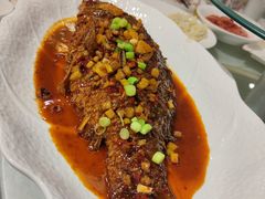 干烧黄河大鲤鱼-香满楼(南关店)