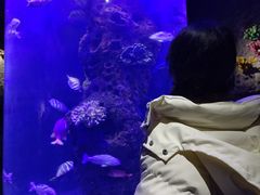 -南昌海洋公园