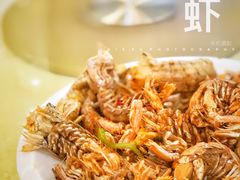 攋尿虾-金宴海鲜酒店