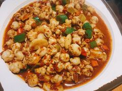 -红辣椒八爪鱼特色韩国料理