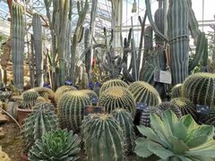 -国家植物园南园