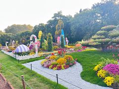 -上海共青森林公园