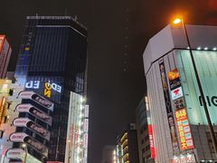 -秋叶原电器街