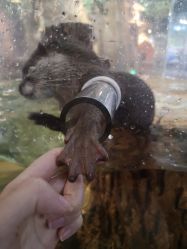 -Zoolung Zoolung动物主题公园(海信广场店)