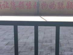 iphone_upload_pic-东方熊牧场