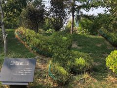 -武清南湖绿博园