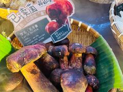 -芸山季·云南野生菌火锅(宝能环球汇店)