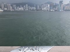 -星光大道