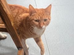 -老刘家泡馍·陕西老字号(钟楼广济街店)